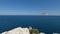 Seagulls soaring over the sea and perching on the cliffs