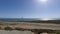 Seagulls soaring in the wind along the coast of Southern California on a sunny summer day