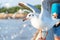 Seagulls spread wings perched on concrete fence.