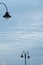 Seagulls on a streetlamp