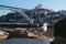 Seagulls sunbathing and resting on the banks of the Douro River