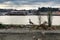 Seagulls sunbathing and resting on the banks of the Douro River