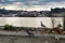 Seagulls sunbathing and resting on the banks of the Douro River