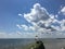 Seagulls during Sunny Day in August at Coney Island Beach in Brooklyn, New York, NY.