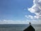 Seagulls during Sunny Day in August at Coney Island Beach in Brooklyn, New York, NY.