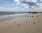 Seagulls during Sunny Day in August at Coney Island Beach in Brooklyn, New York, NY.