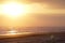 Seagulls at sunrise in the Adriatic Sea