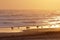 Seagulls at sunrise in the Adriatic Sea