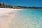 Seagulls Swimming In The Clear Blue Water Of A White Silica Sand Beach In Whitsundays Australia