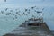 Seagulls take off from the pier by the sea, summer landscape with birds