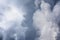 seagulls among threatening clouds