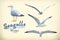 Seagulls vector icons