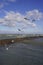 Seagulls on the waterfront fly in the sky among the clouds and the water ripples in the strong wind.