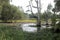 Seaham Swamp New South Wales Australia surrounded by native Australian trees.