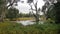 Seaham Swamp New South Wales Australia surrounded by native Australian trees.