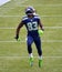 Seahawk Wide Receiver Ricardo Lockette