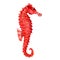 Seahorse