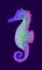 Seahorse drawn in bright colors on a black background. Vector