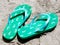 Seahorse Flip Flops