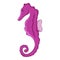 Seahorse, hippocampus icon, cartoon style