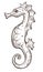 Seahorse isolated underwater animal sketch marine symbol or seafood