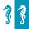 Seahorse silhouette in blue and white colors.