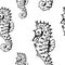 Seahorse sketch pattern. Hand drawn black Seahorses on transparent background. Seamless vector backdrop.