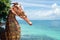 Seahorse statue tropical beach bluesky