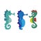 Seahorse vector collection design