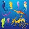 Seahorse vector seafish character or cartoon sea-horse undersea in tropical wildlife illustration set of exotic sea