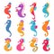 Seahorse vector seafish character or cartoon sea-horse undersea in tropical wildlife illustration set of exotic sea