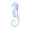 Seahorse, watercolor illustration isolated