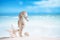 Seahorse with white starfish on white sand beach, ocean, sky an