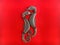 Seahorses loving embrace on red background