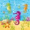 Seahorses under water