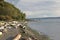 Seahurst Park Beach Driftwood