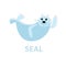 Seal animal laying and waving