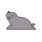 Seal, arctic animal in zoo icon set, filled outline design