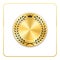 Seal award gold icon Blank medal