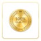 Seal award gold icon medal