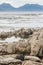 Seal basking on rocks at Kaikoura beach