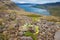 Seal bay, of Westfjords, Iceland