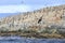 Seal and bird in Beagle Channel, Ushuaia, Argentina