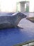 Seal blue cute grey water