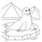Seal Coloring Page for Kids