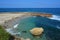 Seal cover of sand along the LaJolla Beach