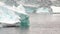 Seal dive near ice floe in ocean of Antarctica.