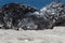 Seal on the dune of Helgoland relaxing close