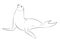 Seal Fish Drawing Vector Illustration