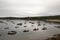 Seal Harbor in Acadia National Park in Maine